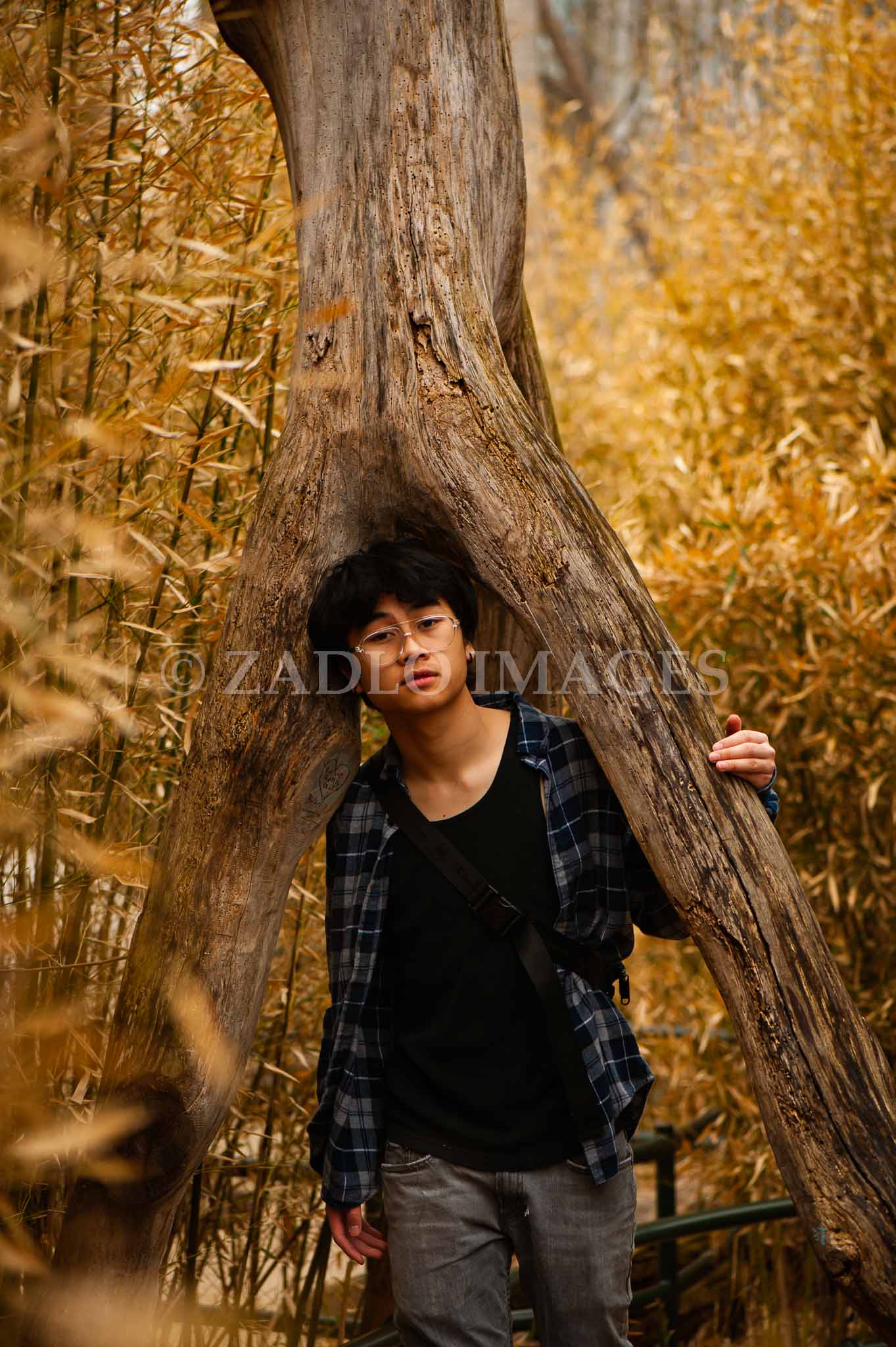 Teen boy standing under a tree in a field.